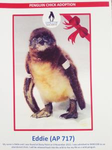 12622537_955927534488385_8756015285477877247_o